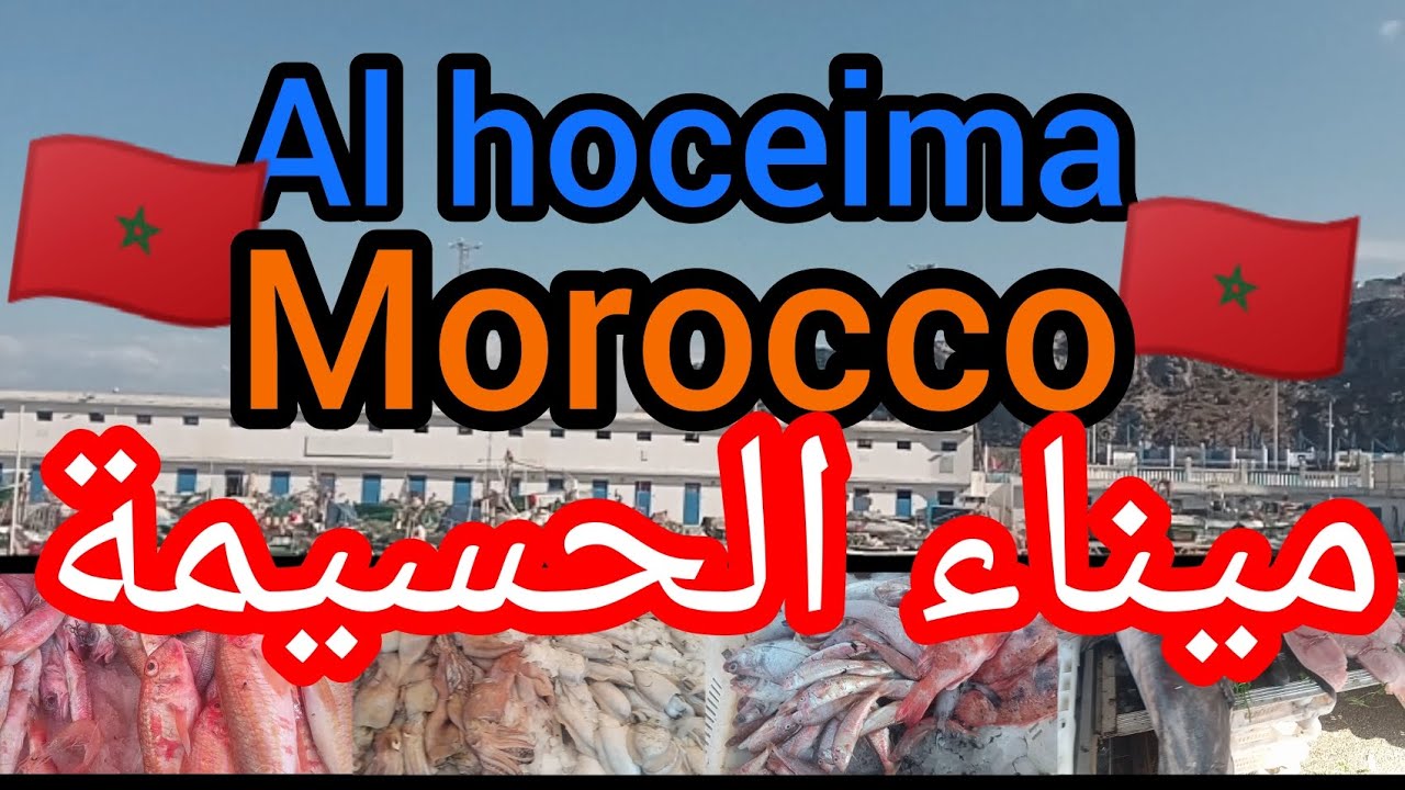 ميناء الحسيمة بلادي المغرب الجزء الثانى 3/6/2023 ❤️🇲🇦❤️🥰🤗اسرمان🐠🐟🦐🐳السمك