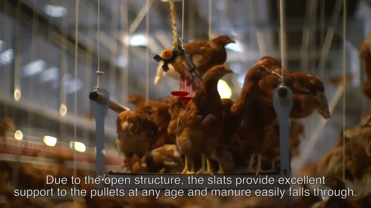 NivoVaria® rearing system
