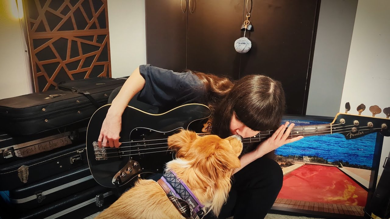 Red Hot Chili Peppers - Otherside Dog n' Bass Cover