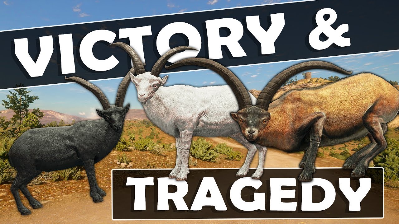 VICTORY & TRAGEDY STRIKE in CUATRO!!! - Call of the Wild