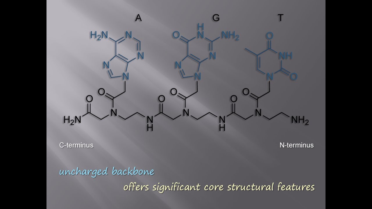 Non-natural Guanine Quadruplex | Easy Learning | illustrated animations.