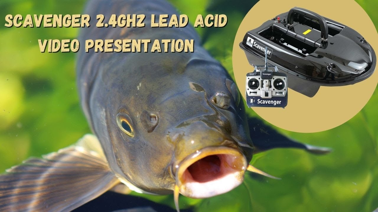 BearCreeks Scavenger 2.4GHz Lead Acid Version