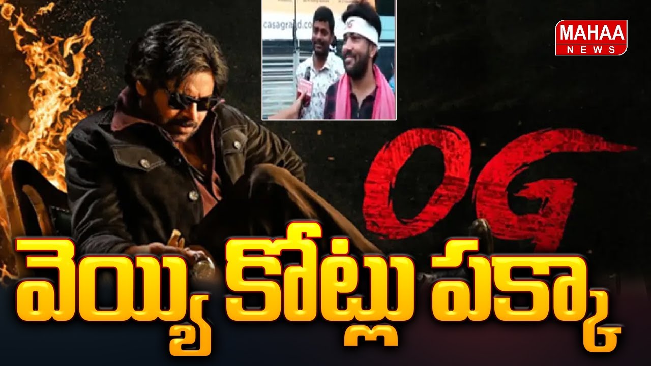 వెయ్యి కోట్లు పక్కా OG Mania: Box Office Records Pawan Kalyan&rsquo;s OG Collects | Mahaa News