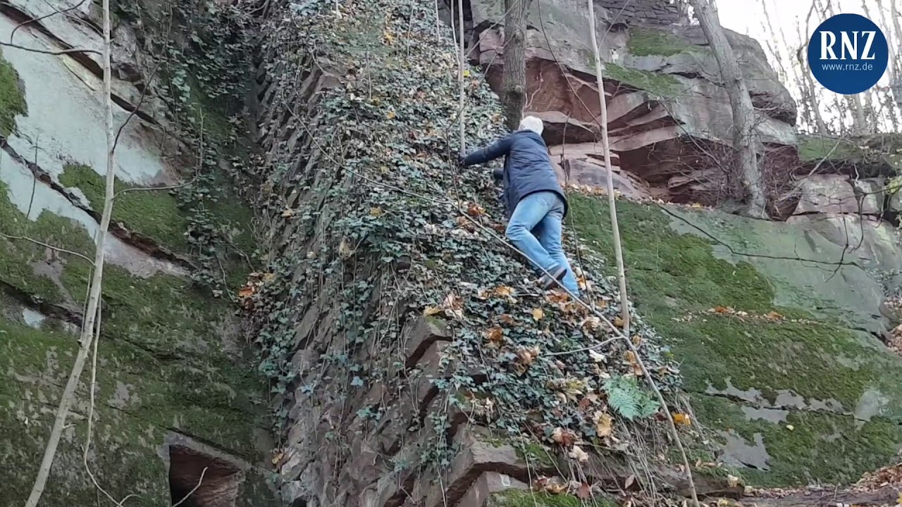 Die Heidelberger 