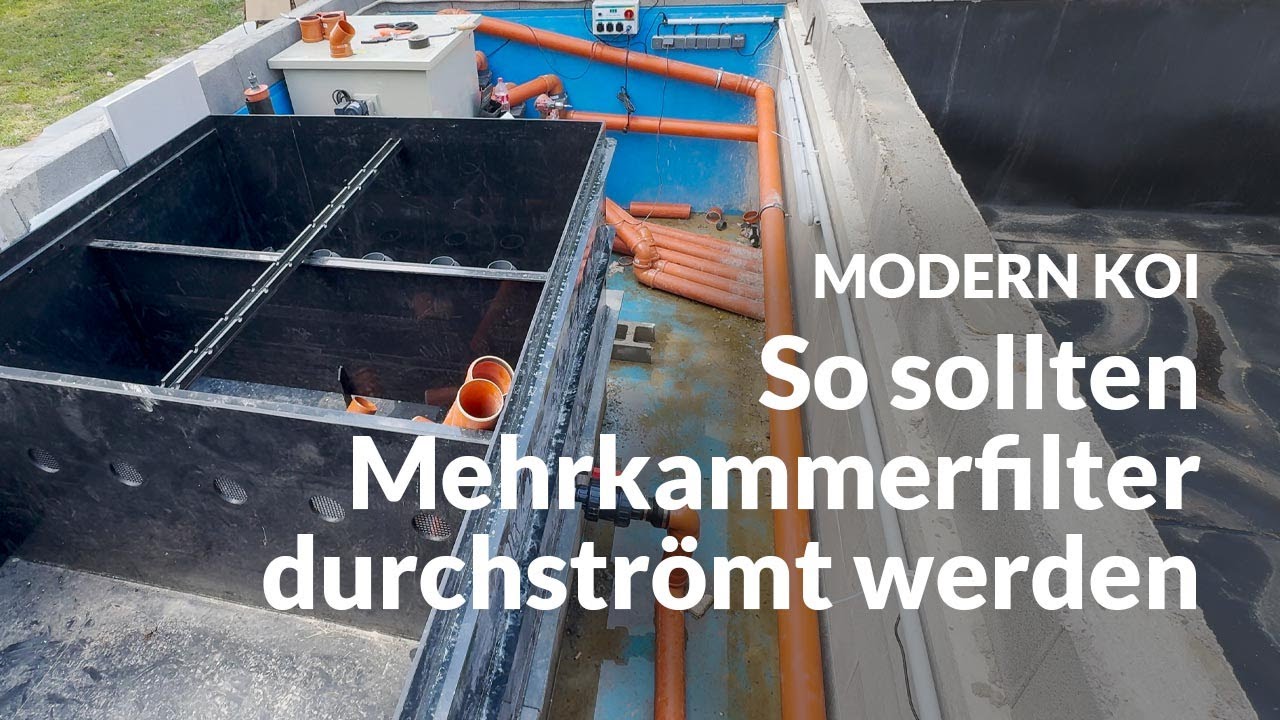 Juli und Sebastians neuer Filter Teil 2 | Modern Koi Blog #6803