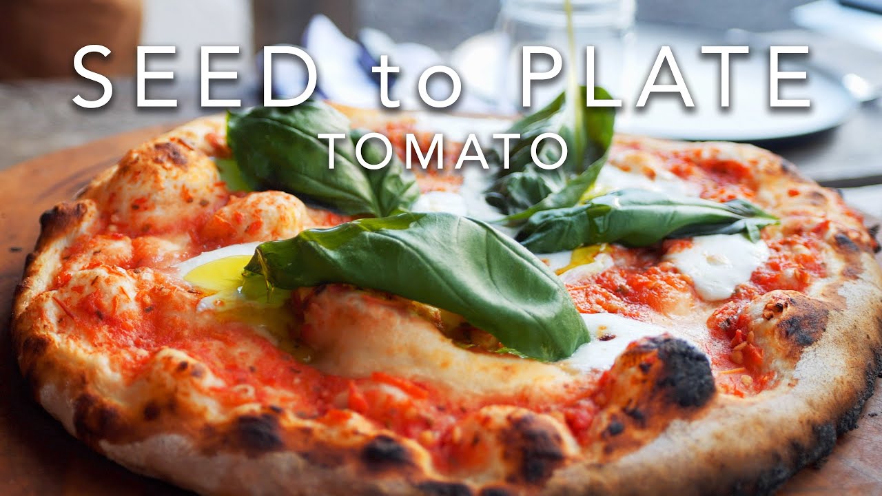 Seed to Plate - Tomato E8