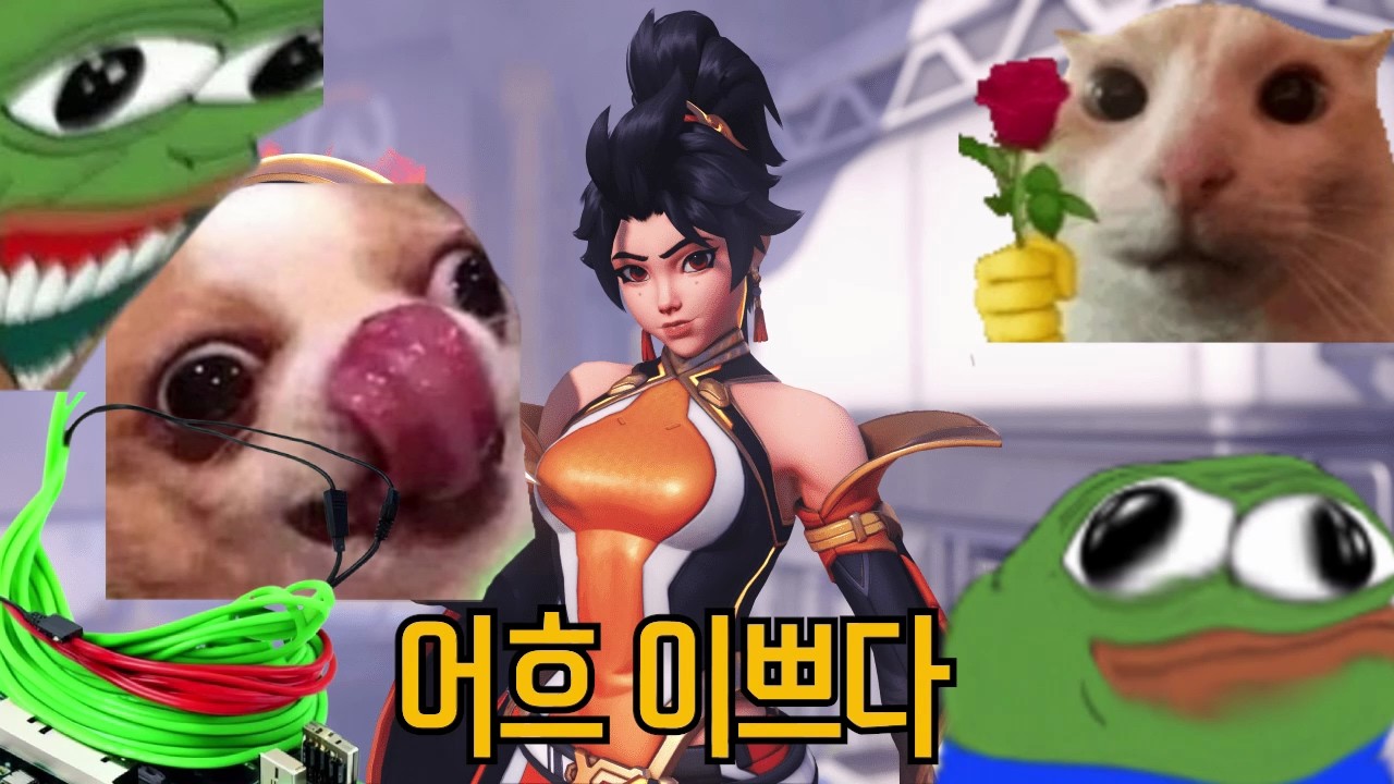 성능과 외모를 바꾼 안란