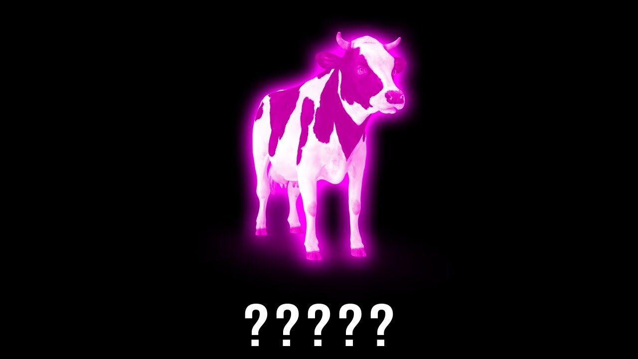15 Angry Cow 