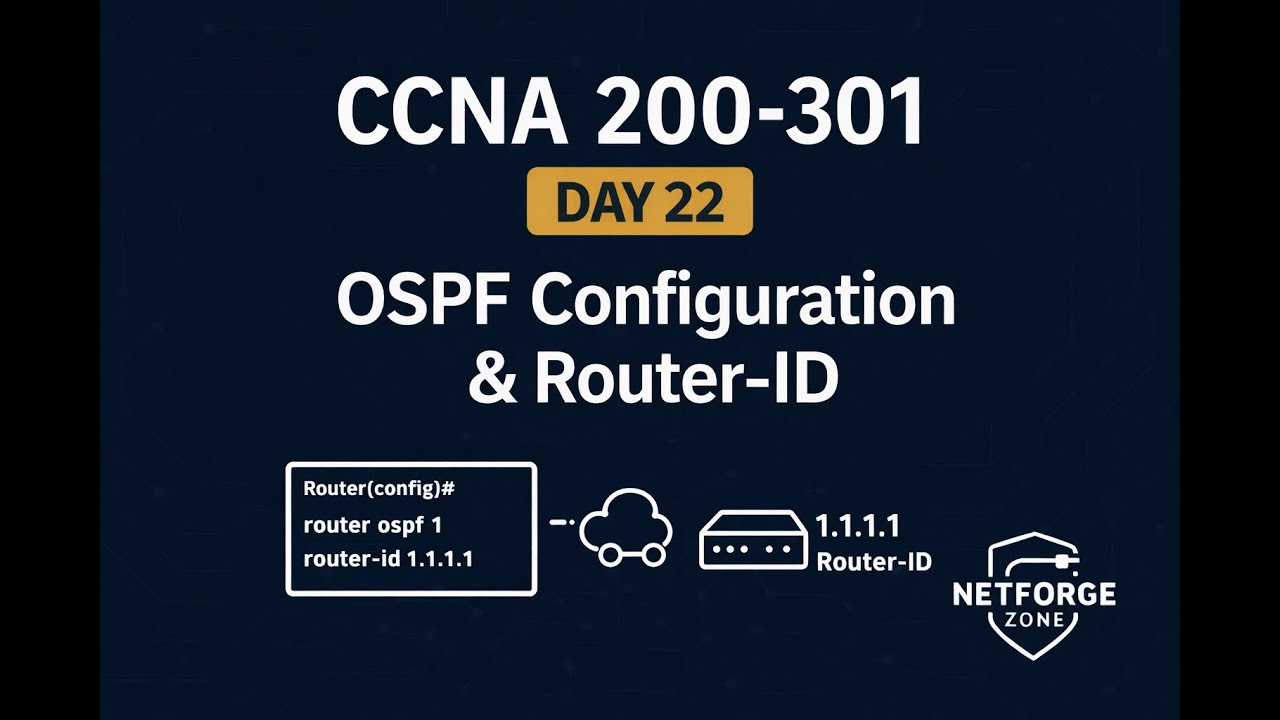 День 22. Конфигурация OSPF в одной области: анализ идентификаторов маршрутизаторов и пакетов.
