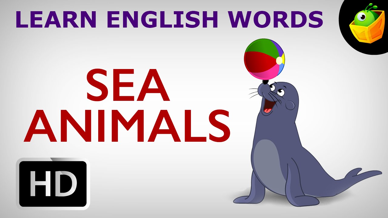 Sea Animals | Pre School | Learn English Words (Spelling) Video For Kids and Toddlers