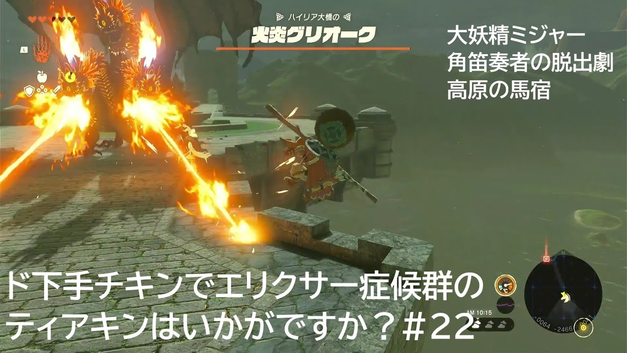 ド下手チキンでエリクサー症候群のティアキンはいかがですか？#22