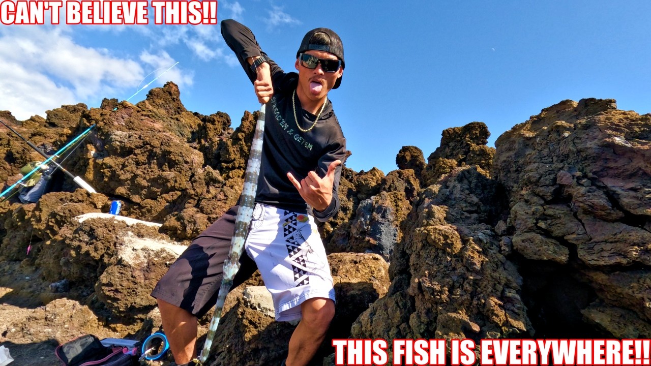 THIS FISH FOLLOWS ME EVERYWHERE!!| MAUI VLOG| DAY 6| WHIPPING HAWAII| ULUA FISHING|
