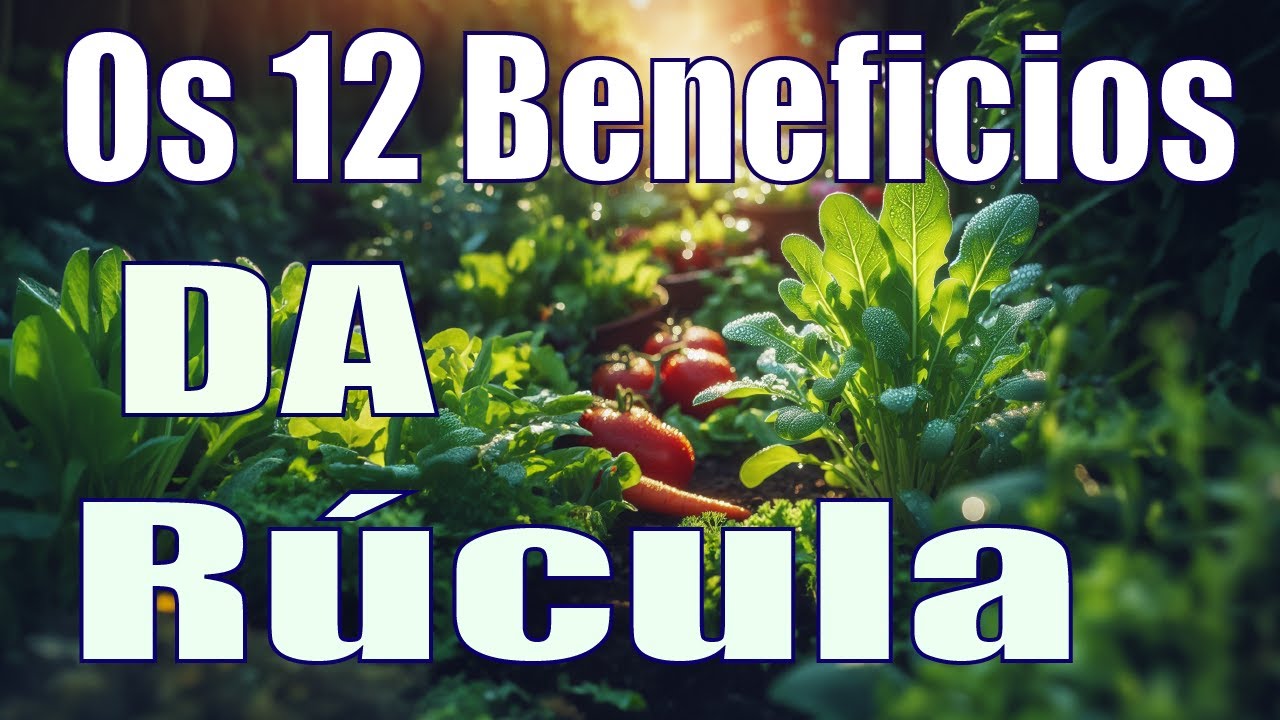 os beneficios da r&uacute;cula