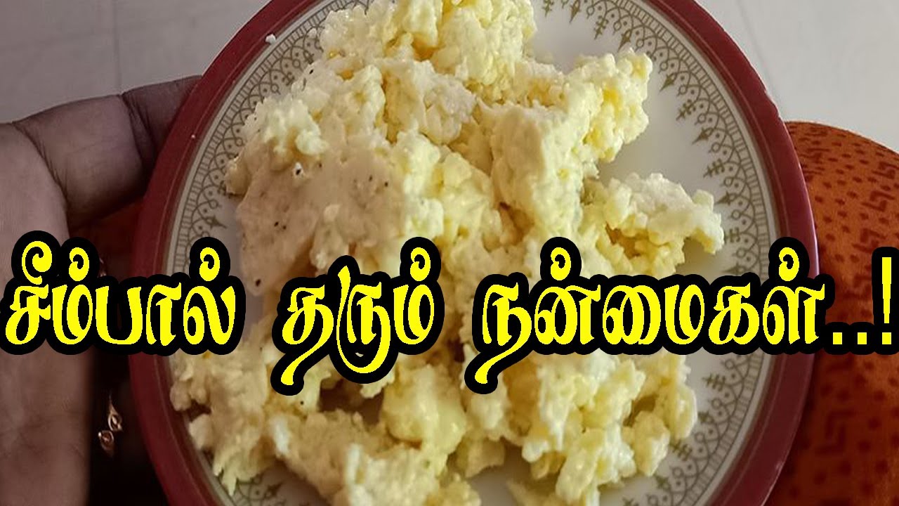 சீம்பால் தரும் நன்மைகள்|seem paal|cow colostrum milk