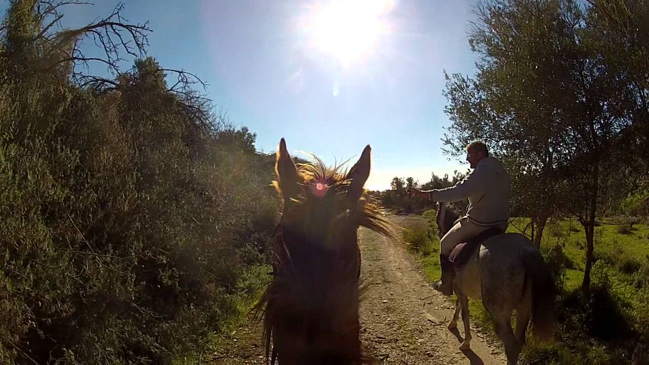 Riding with Kleo in Paphos area Cyprus