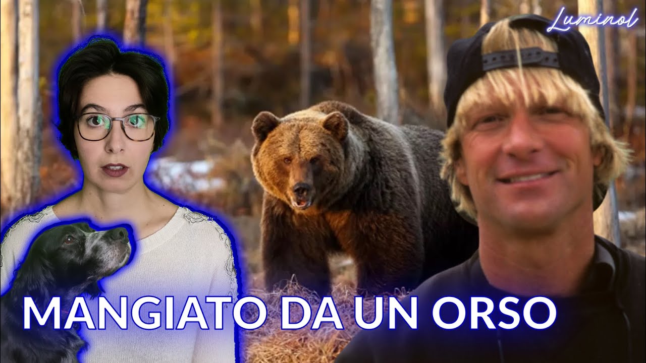 Thimothy Treadwell - La caduta dell'uomo grizzly