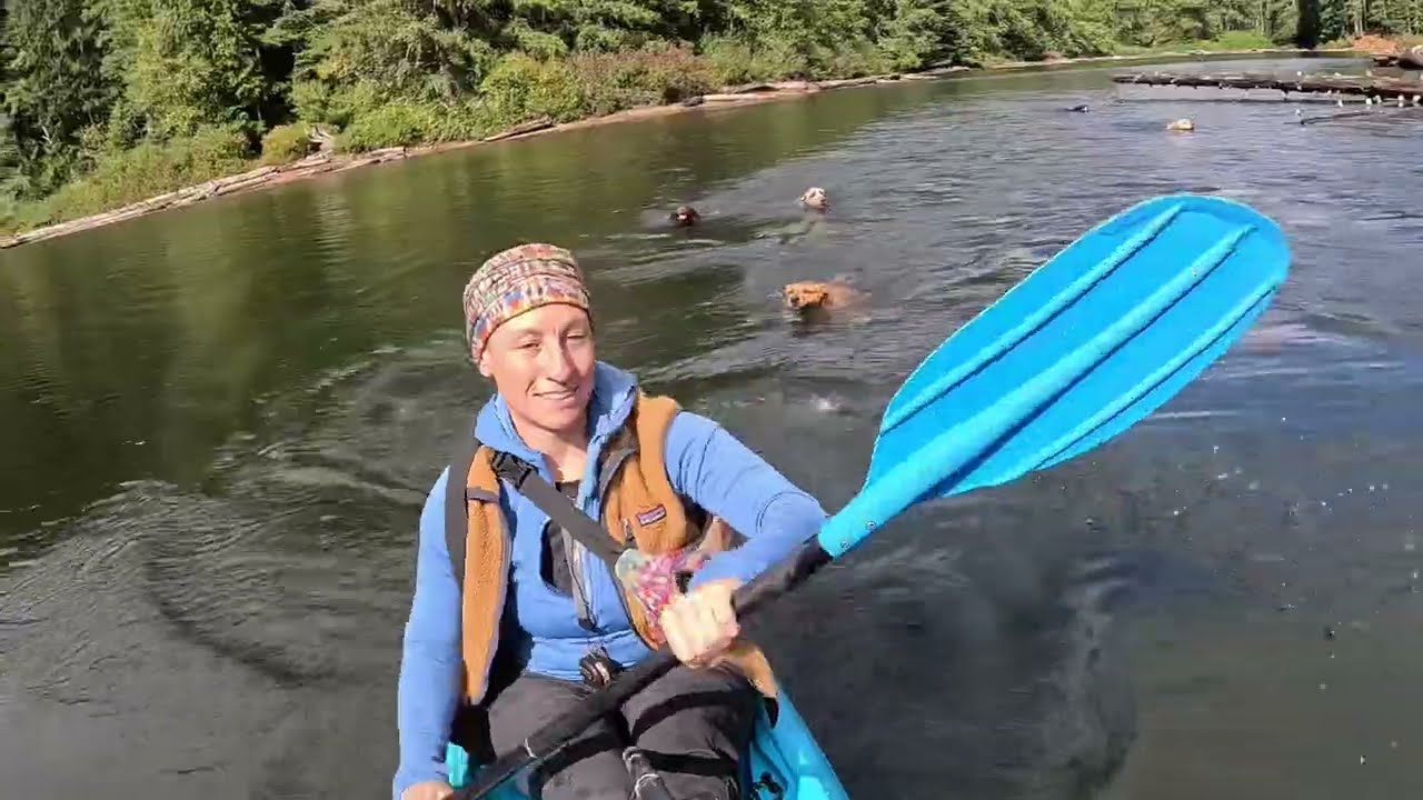 Oregon’s Adventure Dogs Swim and Explore a Lake!