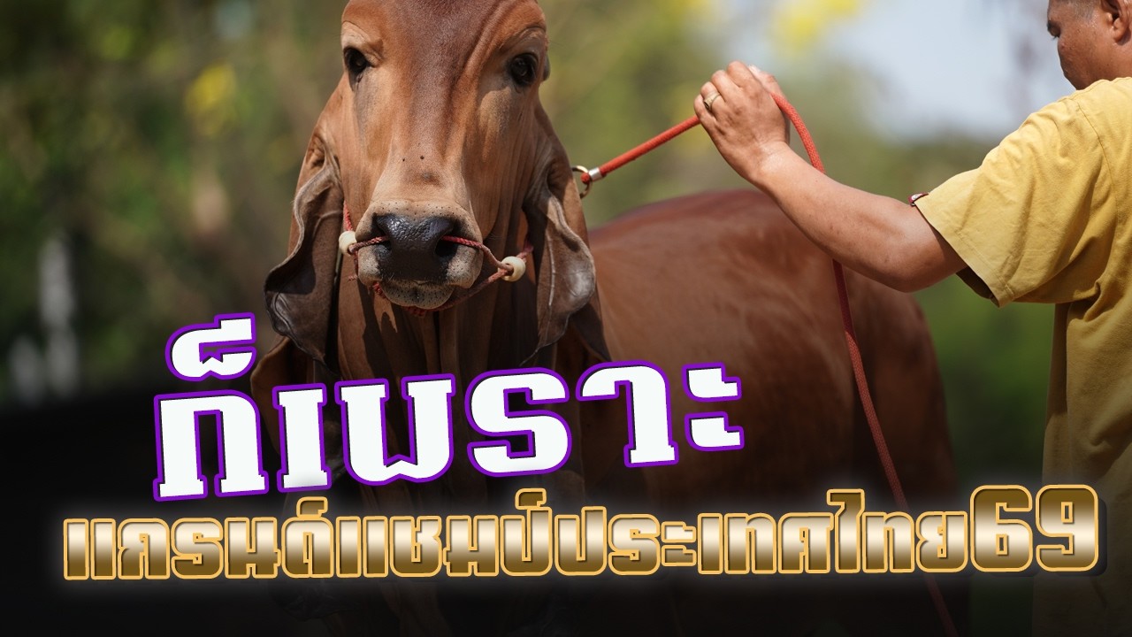 แกรนด์แชมป์ประเทศไทย 69
