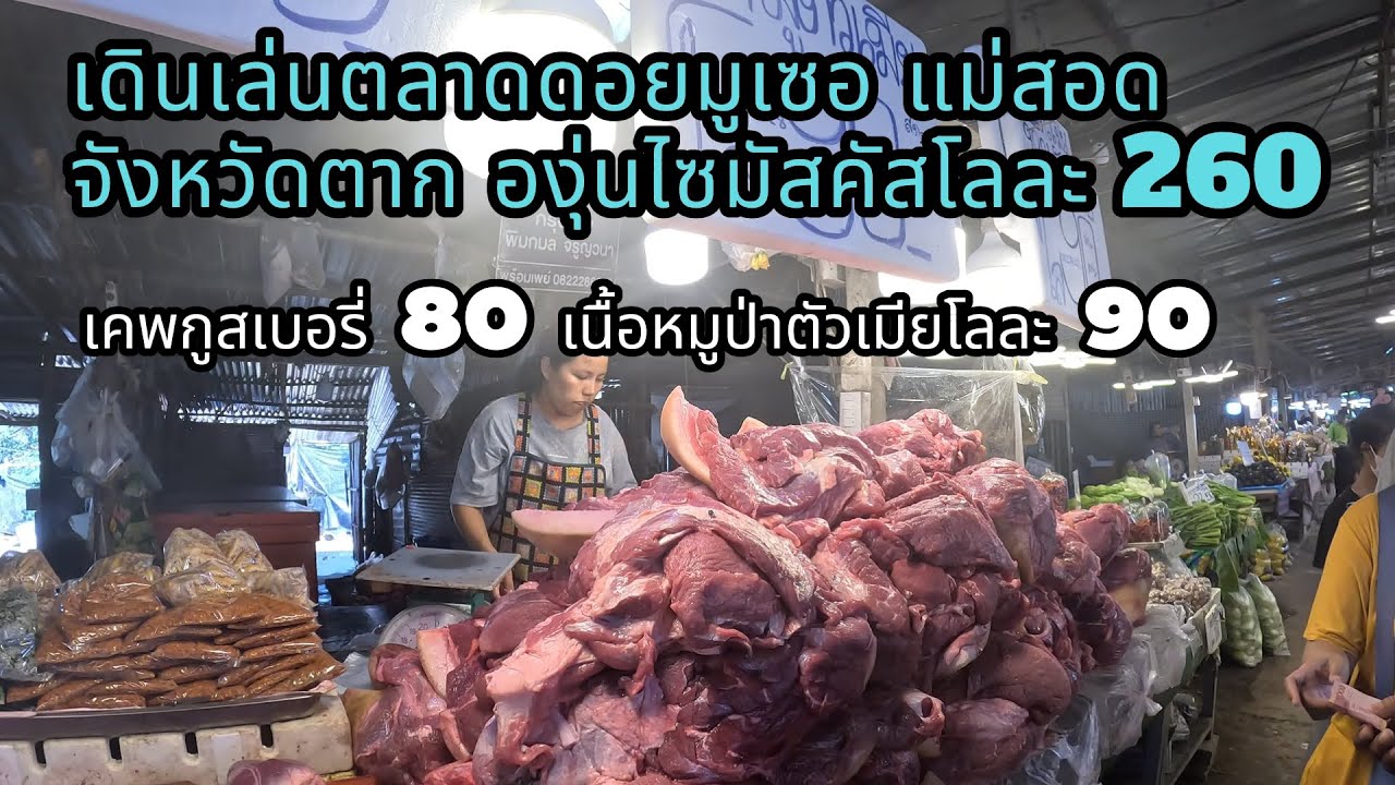 เที่ยวชมตลาดดอยมูเซอ แม่สอด จังหวัดตาก เนื้อหมูป่า น้ำผึ้งป่า องุ่นไซมัสคัส เคพกูสเบอร์รี่ บัวหิมะสด