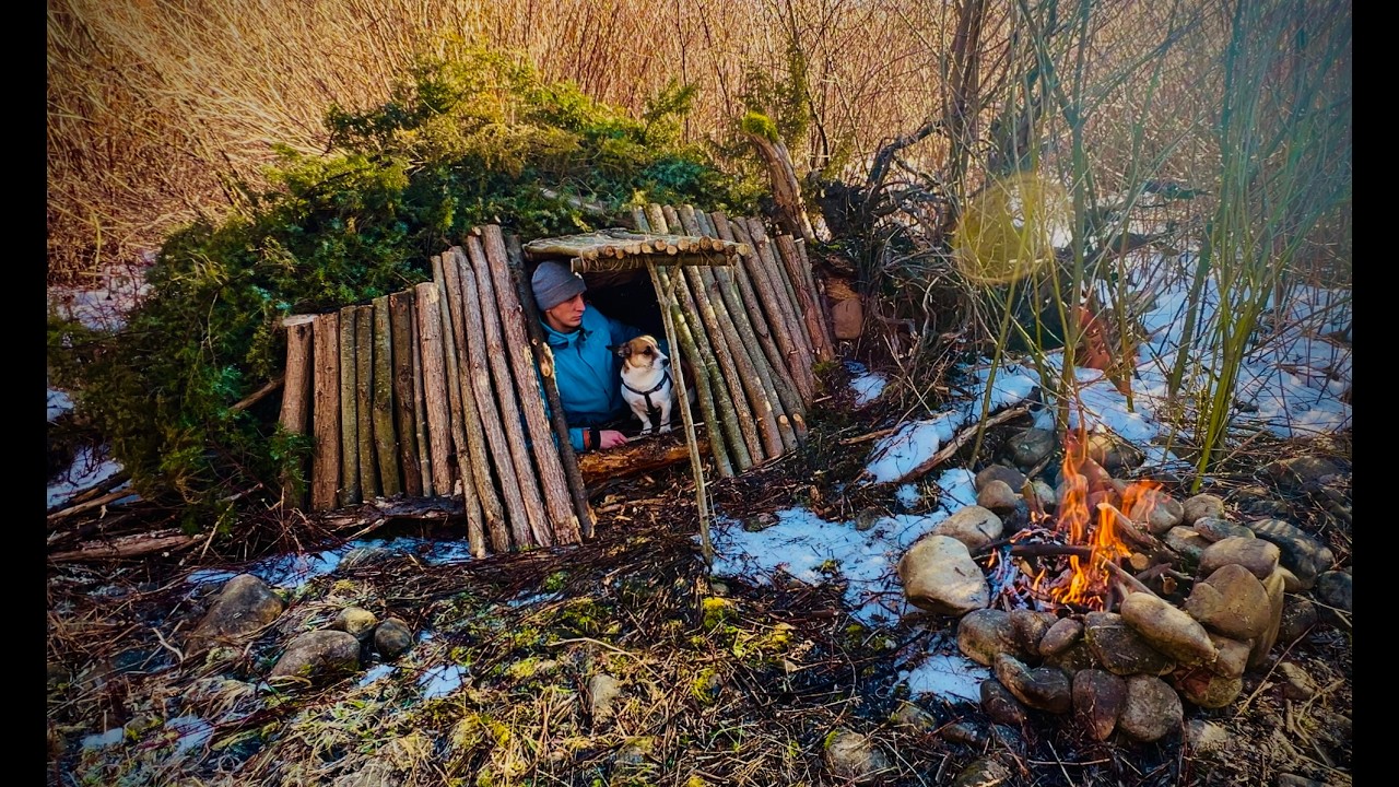 Building a Сozy survival shelter under the root of a fallen tree. Bushcraft. Hiking with a Dog.