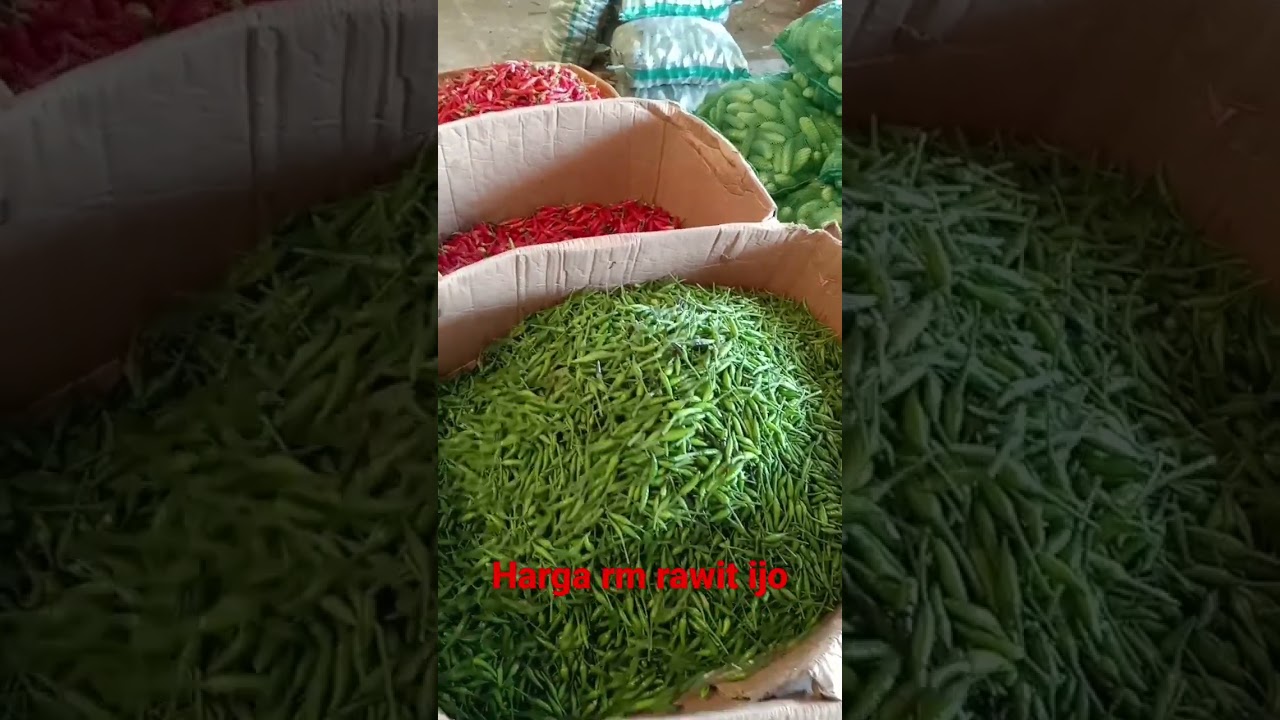 harga rm dan rawit ijo caplak #shortsvideo #cabe