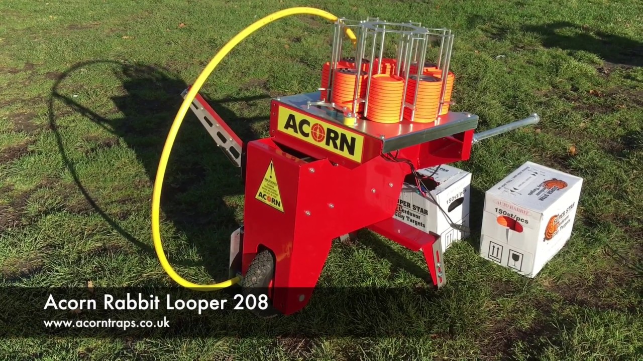 Acorn Clay Target Rabbit Looper 208