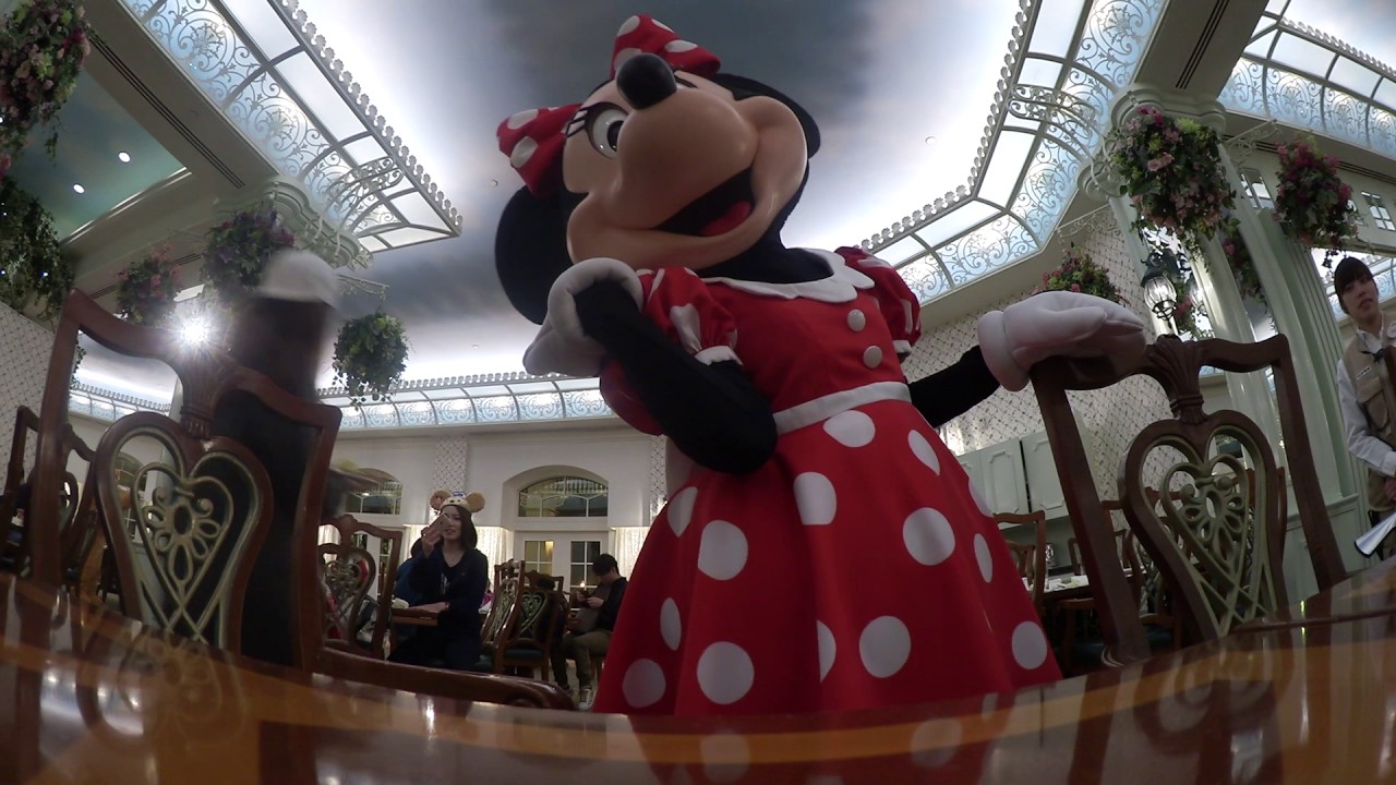 Hkdl feb 17 last night at eg Minnie