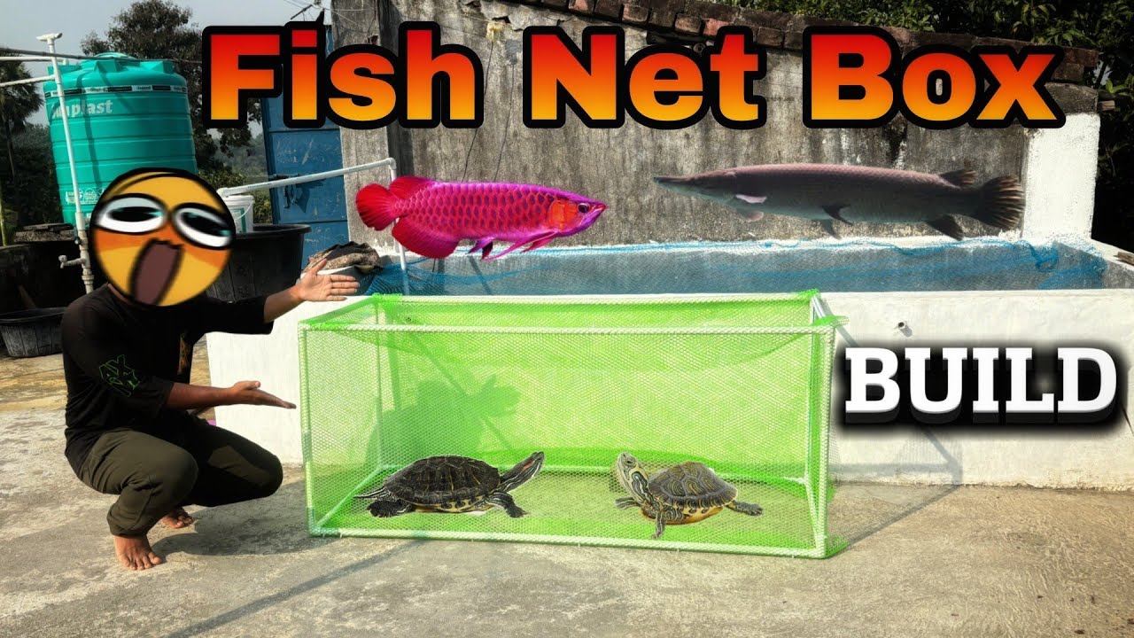 DIY Net Box for Aquarium Fish & Turtles | Easy Step by Step Build