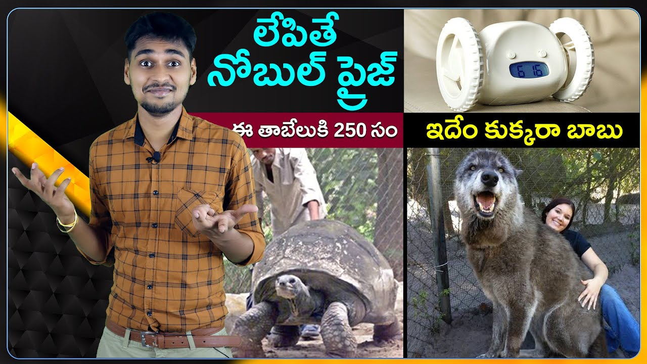 Top 10 Intersting Facts in Telugu 2022 | MVS Facts Telugu