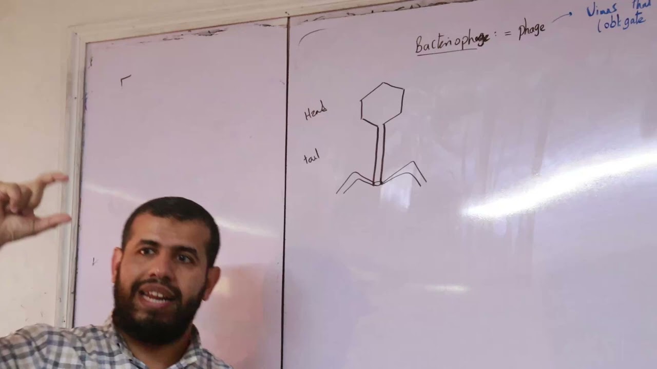 المحاضرة الرابعة ميكرو د/هشام عصمت للفرقه التانيه طب بشري حلوان الاهليه