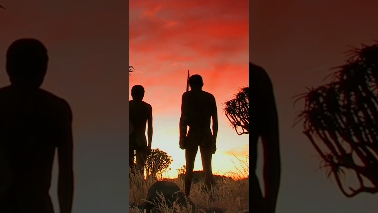 Experience an Authentic Namibia Safari with Discover Africa! 