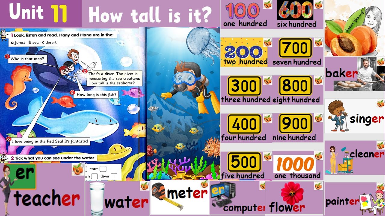 Connect primary 3 Unit11 How tall is it? Teacher’s Guide - flashcards حل كتاب الوزارة  نصوص الأستماع