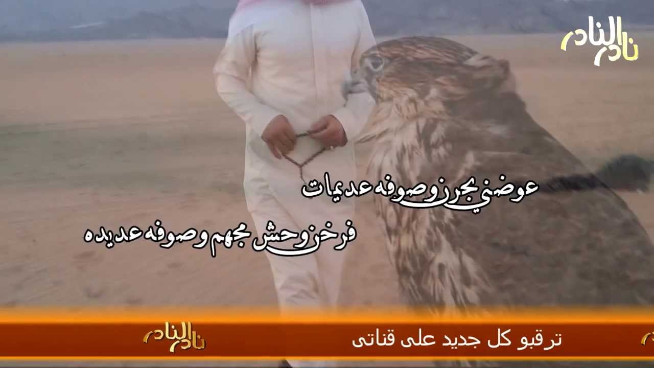 شيلة الطير- كلمات واداء الشاعر فالح العريدي - مونتاج نادر النادر