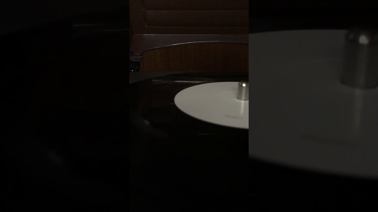 The Wonder years - We Look Like Lightning (new song 2018)