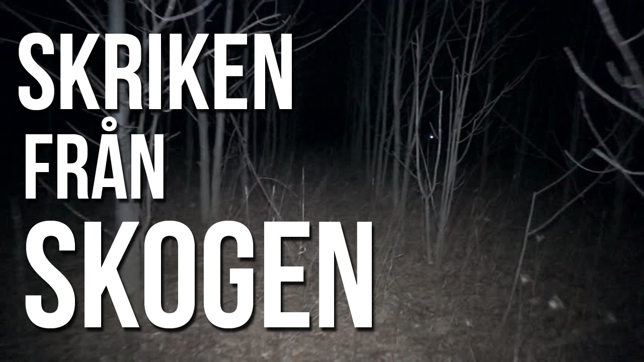 Skriken Från Skogen - Rysare 27 - [Creepypasta]