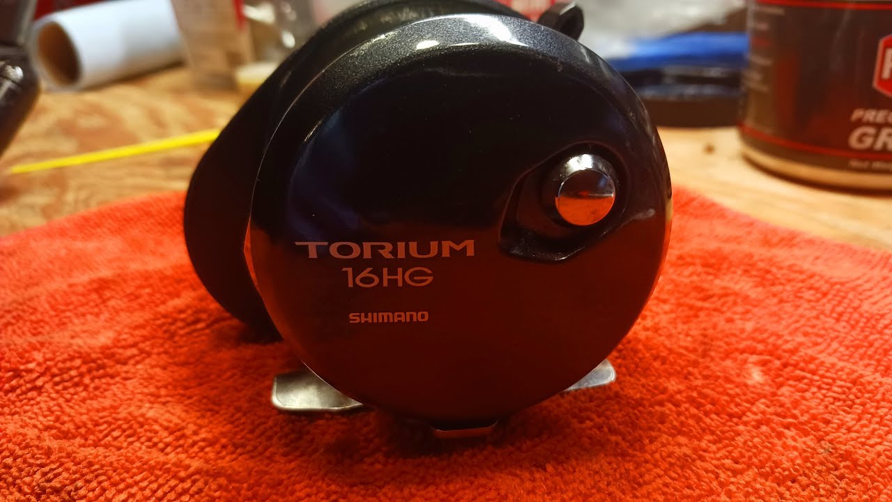 Shimano Torium 16HG Conventional Salt Water  Reel Reassembly Service