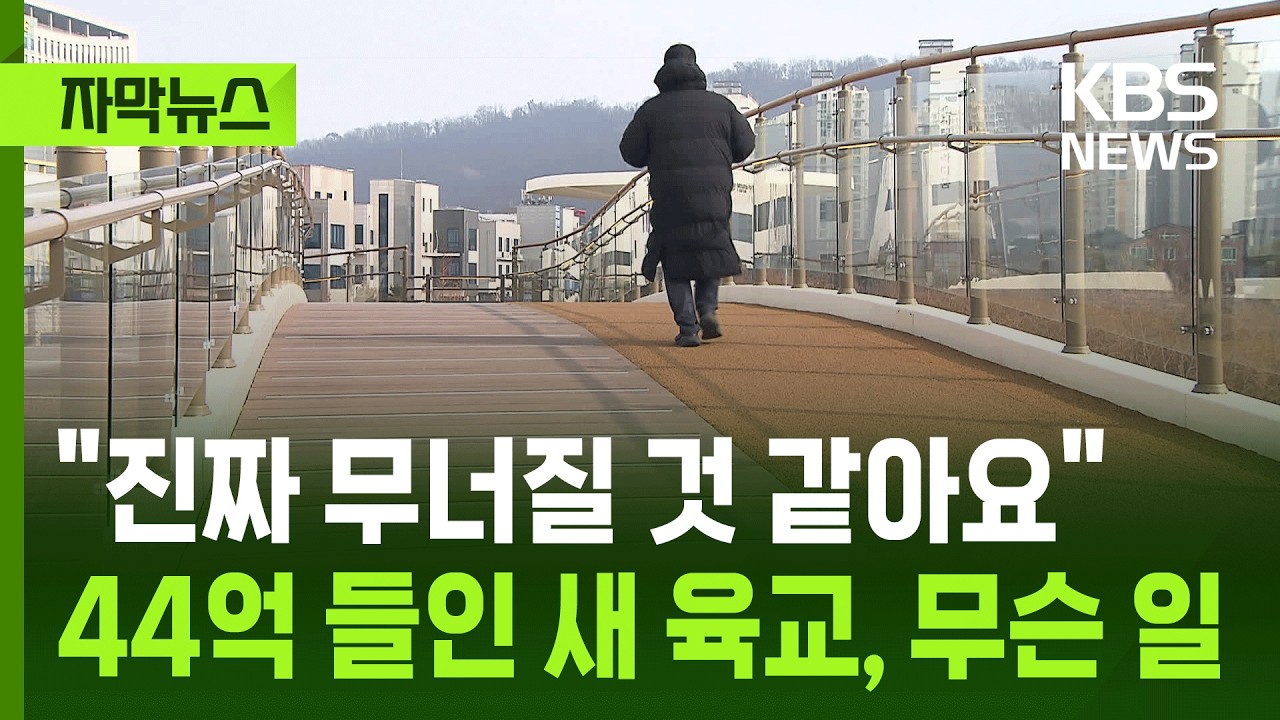 [자막뉴스] 