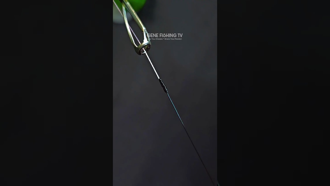 Amazing Knot for Braid to Leader Line