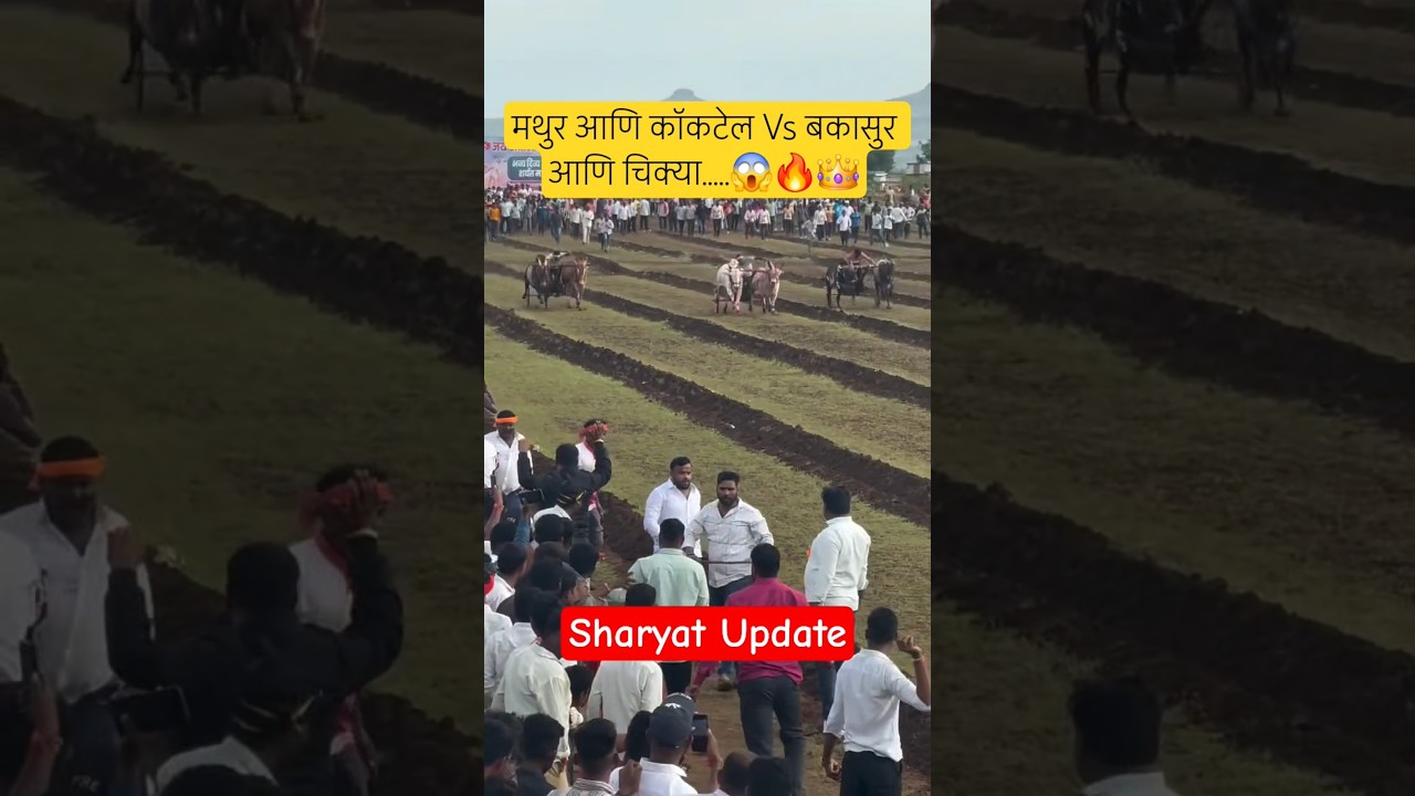 Eye-catching semi 3 Mathur Vs Bakasur😱🔥👑#bailgadasharyat #sharyat #p3 #bakasur #mathur #नाद