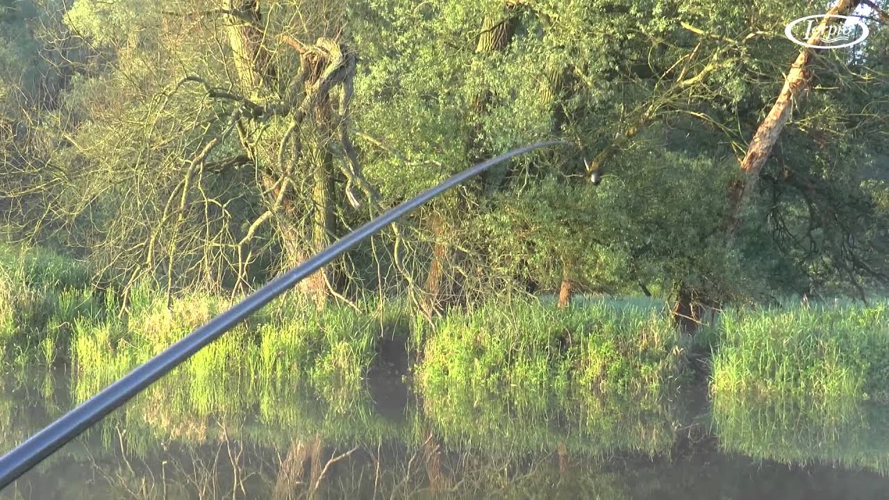 Lin na długą wędkę
