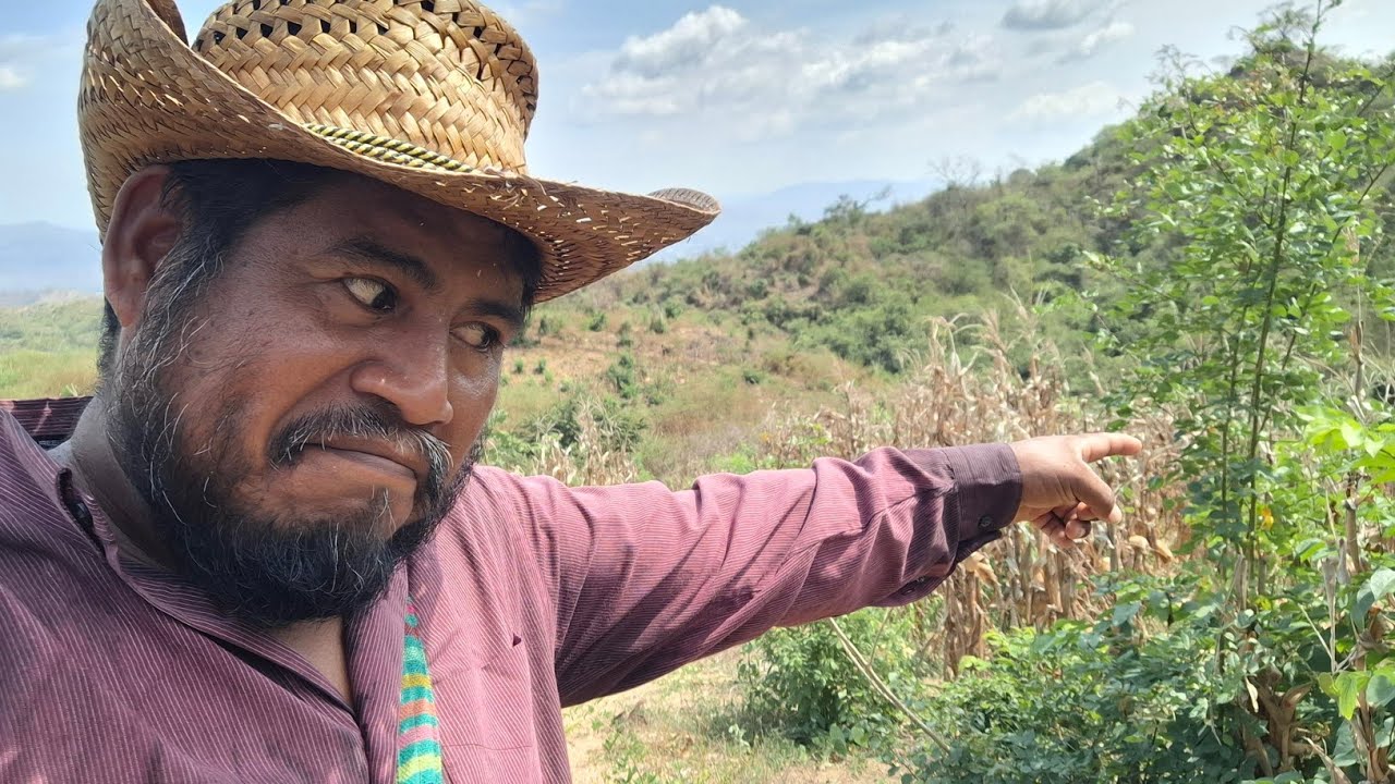 Mira quien quiere vivir gratis en mi parcela 