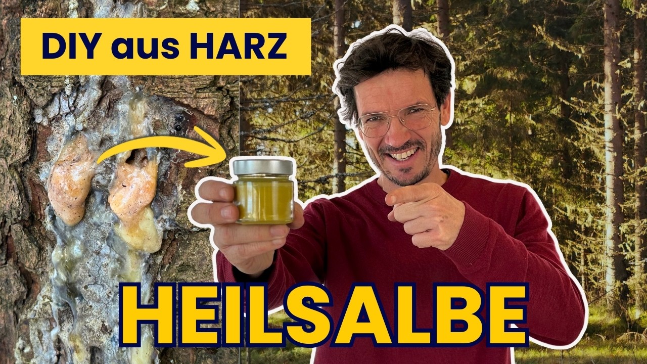 nutze die Kraft der heimischen Nadelbäume