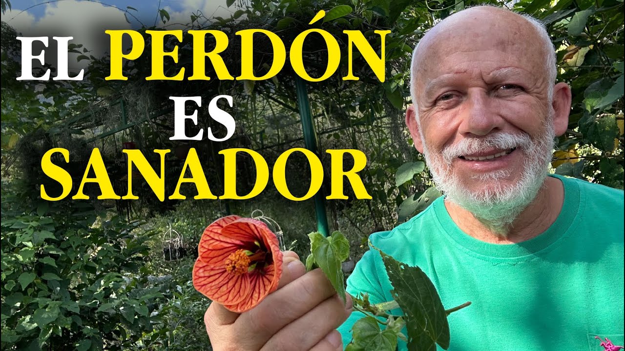 ¿Puede el perdón sanar?- Reflexión
