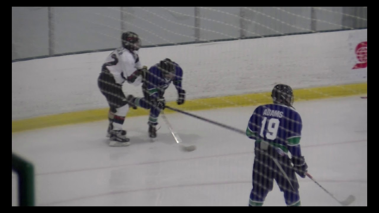 Minnesota Special Hockey A Team Vs Innisfil Snowdogs