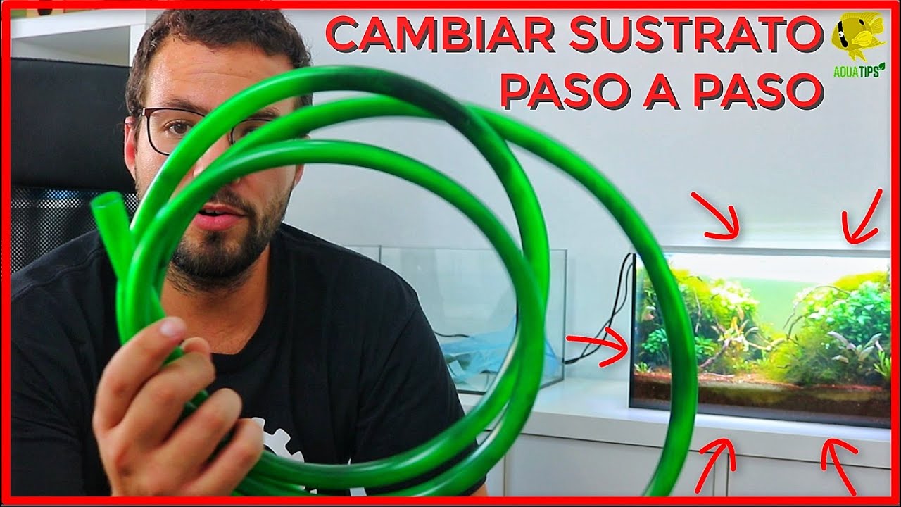 Como CAMBIAR el SUSTRATO de un ACUARIO con PECES/GAMBAS. TUTORIAL PASO A PASO || AquaTips