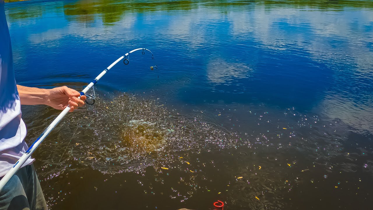 BOTTOM FISHING Wisconsin River For WHATEVER BITES