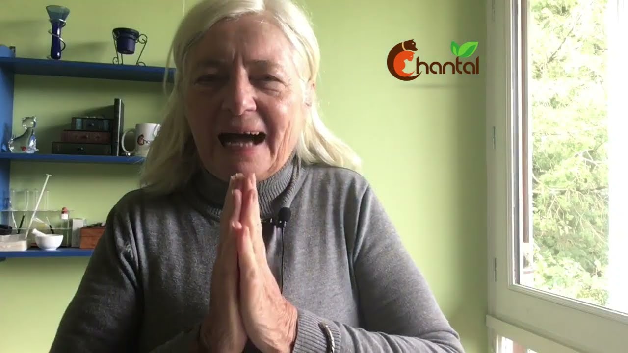 Comment traiter la plaque dentaire de votre chat ou votre chien de façon naturelle ?