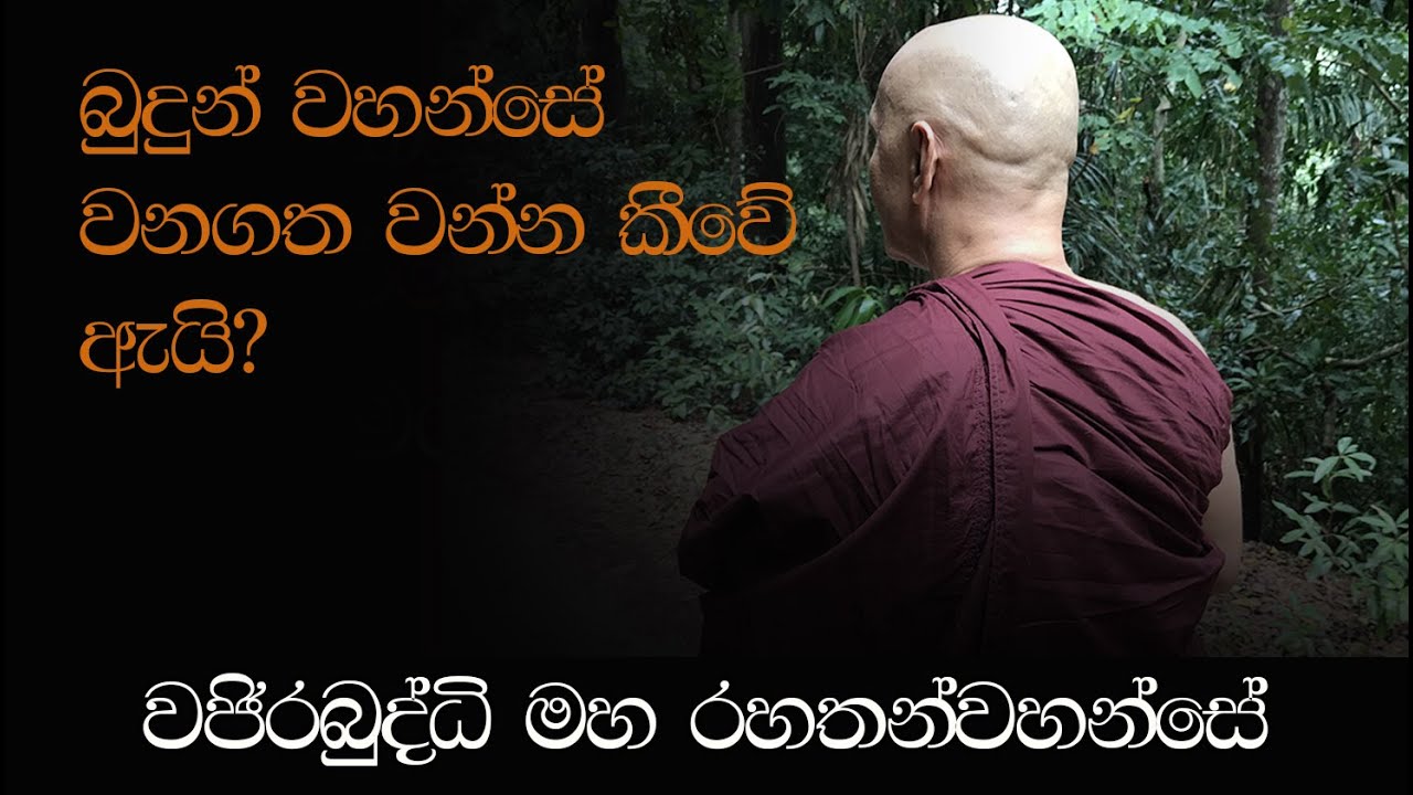 ආරණ්&zwj;යගතවීම 01 - 'බුදුන් වහන්සේ වනගත වන්න කීවේ ඇයි?' - අතිපූජනීය මහනුවර වජිරබුද්ධි මහ රහතන්වහන්සේ.