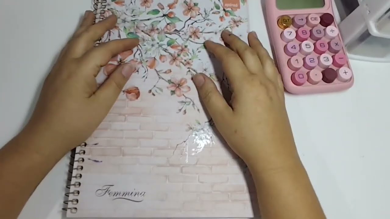 ✨Planejamento financeiro mês de Março 2026💖