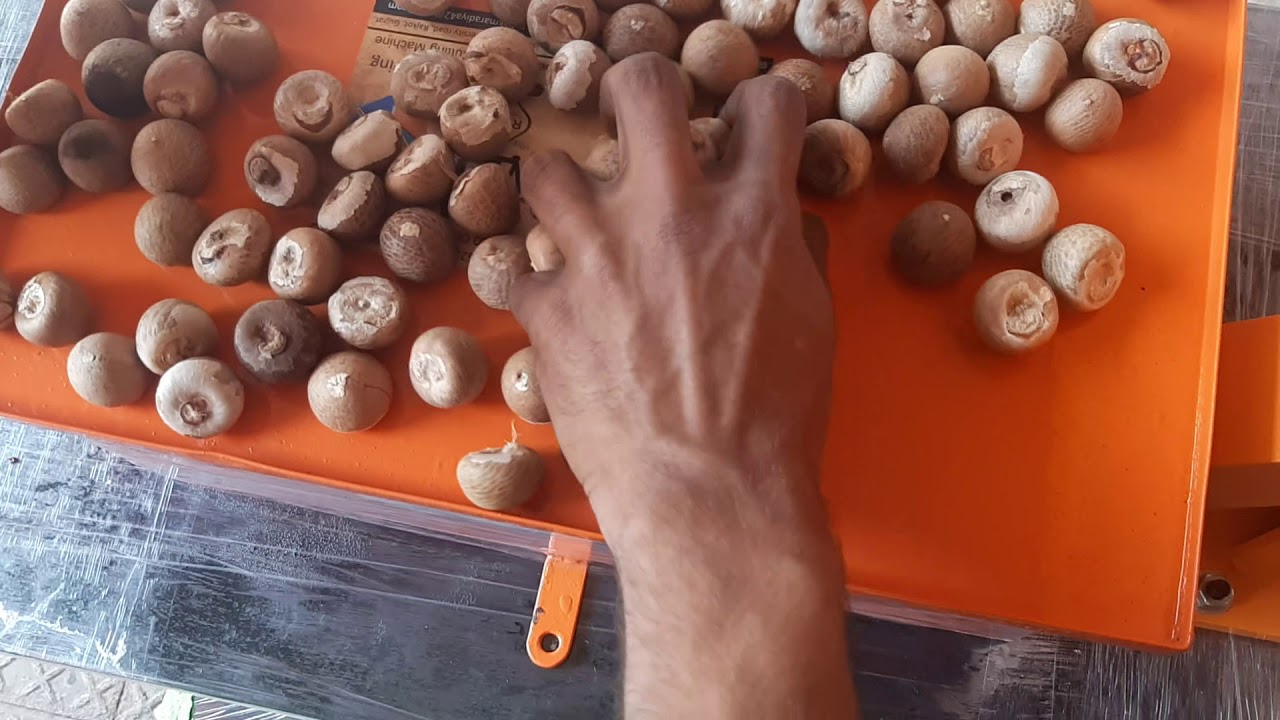 2  sided  automatic  only round chips supari cutting machine